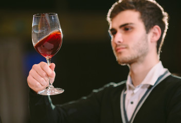 This wine is just perfect. Confident male sommelier examining glass with wine.