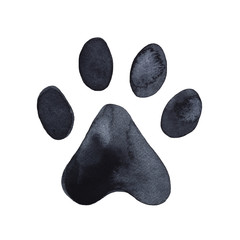Dog or cat paw print graphic illustration. Cute animal element for decoration, design, craft projects, scrapbooking, pet tags. Hand drawn watercolour drawing on white background, isolated clip art. - 212001968