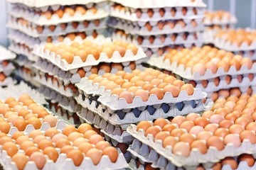 a lot of eggs in the cardboard boxes.