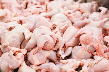 The meat factory. chicken on a conveyor belt.