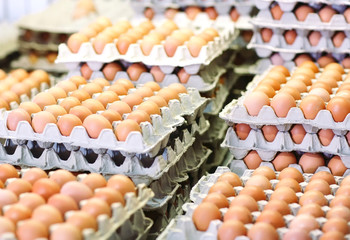 a lot of eggs in the cardboard boxes.