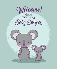 Baby shower design with cute koalas over blue background, colorful design. vector illustration