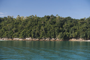 tropical sea forest under blue sky