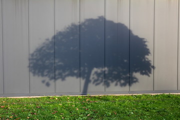 Tree shadow on grey metal wall with uncut green grass and fallen autumn leaves in front