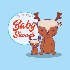Baby shower invitation with cute deers icon over blue background, colorful desing. vector illustration