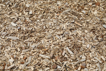 bois copeau