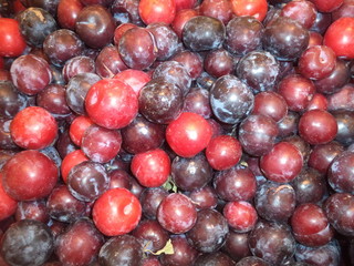harvest fresh plum