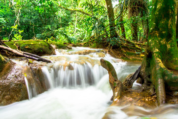 Fototapeta premium Cachoeira em Bodoquena