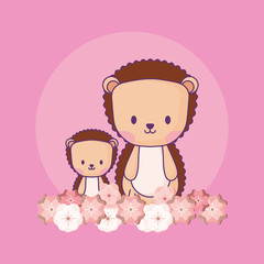 cute porcupines and beautiful flowers over pink background, colorful design. vector illustration