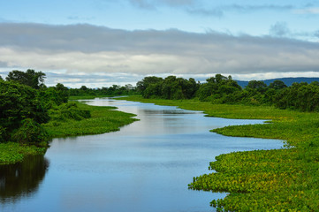 Rio Paraguai