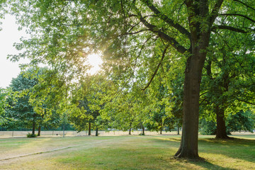 Afternoon view of a scene in the Hyde Park