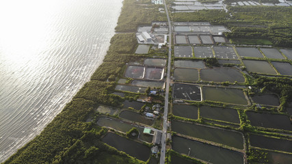 Aerial view of shrimp farm and air purifier in Thailand. Continuous growing aquaculture business is exported to the international market.