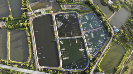 Aerial view of shrimp farm and air purifier in Thailand. Continuous growing aquaculture business is exported to the international market.