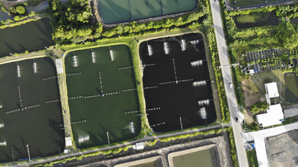 Aerial view of shrimp farm and air purifier in Thailand. Continuous growing aquaculture business is exported to the international market.
