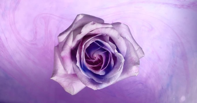 Top view of the colorful spreading paint on a beautiful spinning flower.