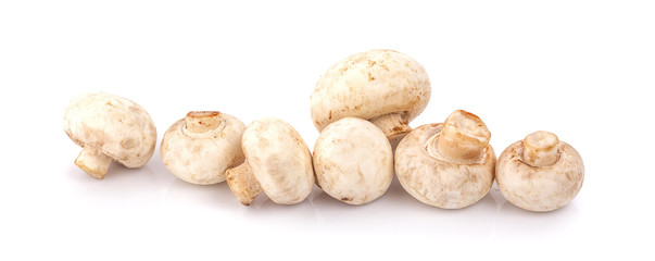 Fresh mushrooms isolated on a white background. Clipping path
