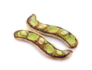 Mucuna pruriens isolated on white background