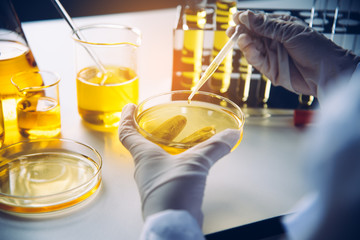  Equipment and science experiments oil pouring scientist with test tube yellow making research in...