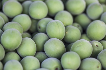 An image of Fruit of plum