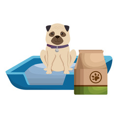 cute dog pet with bed and food character
