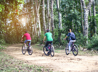 Fototapeta premium Young hipster tourist riding bicycles in the forest back to camera, Thailand