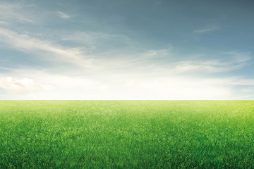 Fototapeta na wymiar perspective grass of field with beautiful sky.
