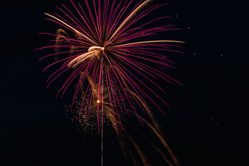 Fototapeta na wymiar Independence Day Fireworks Firing in Black Night Sky
