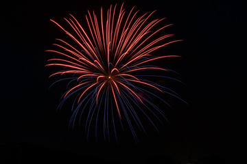 Fototapeta premium Independence Day Fireworks Firing in Black Night Sky