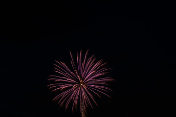 Fototapeta premium Independence Day Fireworks Firing in Black Night Sky