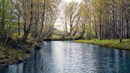 Beautiful river among green forests and meadows