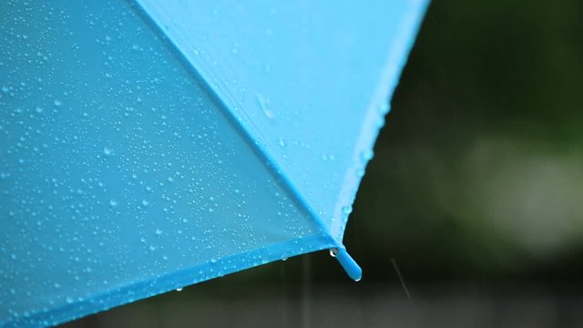 水色の傘と雨粒