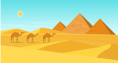 Poster Camels in a desert with pyramids. Vector flat style illustration © lyudinka