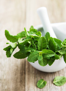 Mortar with fresh mint