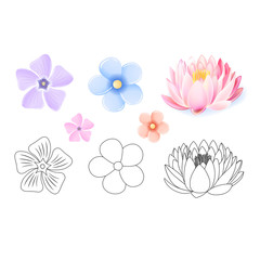 Fototapeta na wymiar Pink lotus, periwinkle, forget-me-not pattern flower set