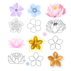 Pink lotus, periwinkle, forget-me-not pattern flower set