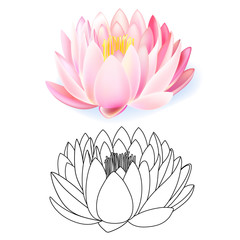 Pink lotus pattern flower set