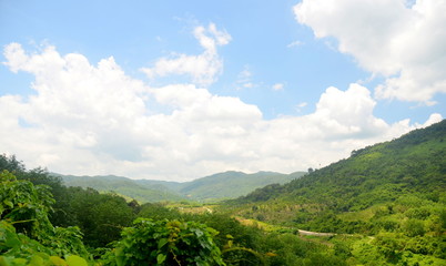 Chinese jungle, island of Hainan, May 2011