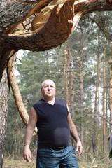 кавказский старик осматривает ствол поврежденной ураганом сосны в лесу © sashasandro