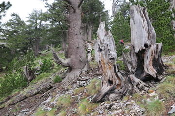 bergtour olymp in griechenland