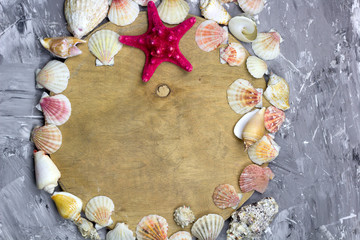 top view sea shells frame and wooden round empty board with place for text