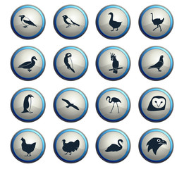 birds icon set