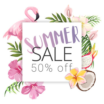 Summer sale. Banner with exotic plants and flamingo