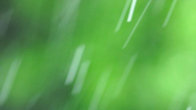 自然の緑ぼかし背景と大雨