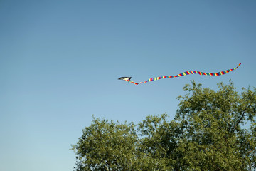 Kite flying
