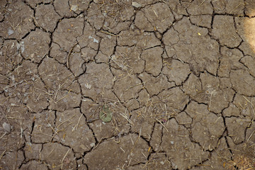 Drought