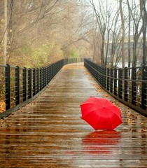 Red umbrella on the wood bridge