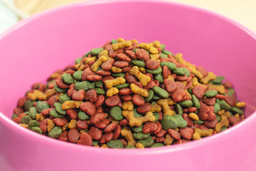 dry dog food , meat snack biscuits in pink bowl . colorful textured