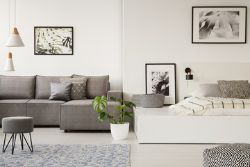 Real photo of a large platform bed standing next to a grey sofa in a one room apartment with...