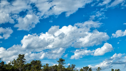 Fototapeta premium Fluffy white clouds and vibrant blue sky