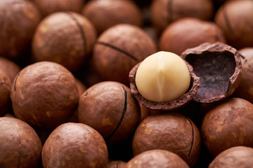 Macadamia nuts background